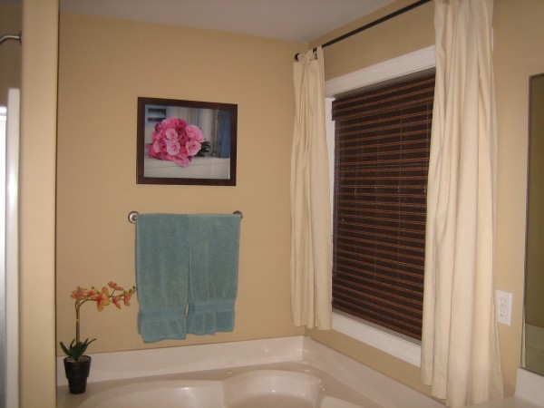 Master Bathroom: Before