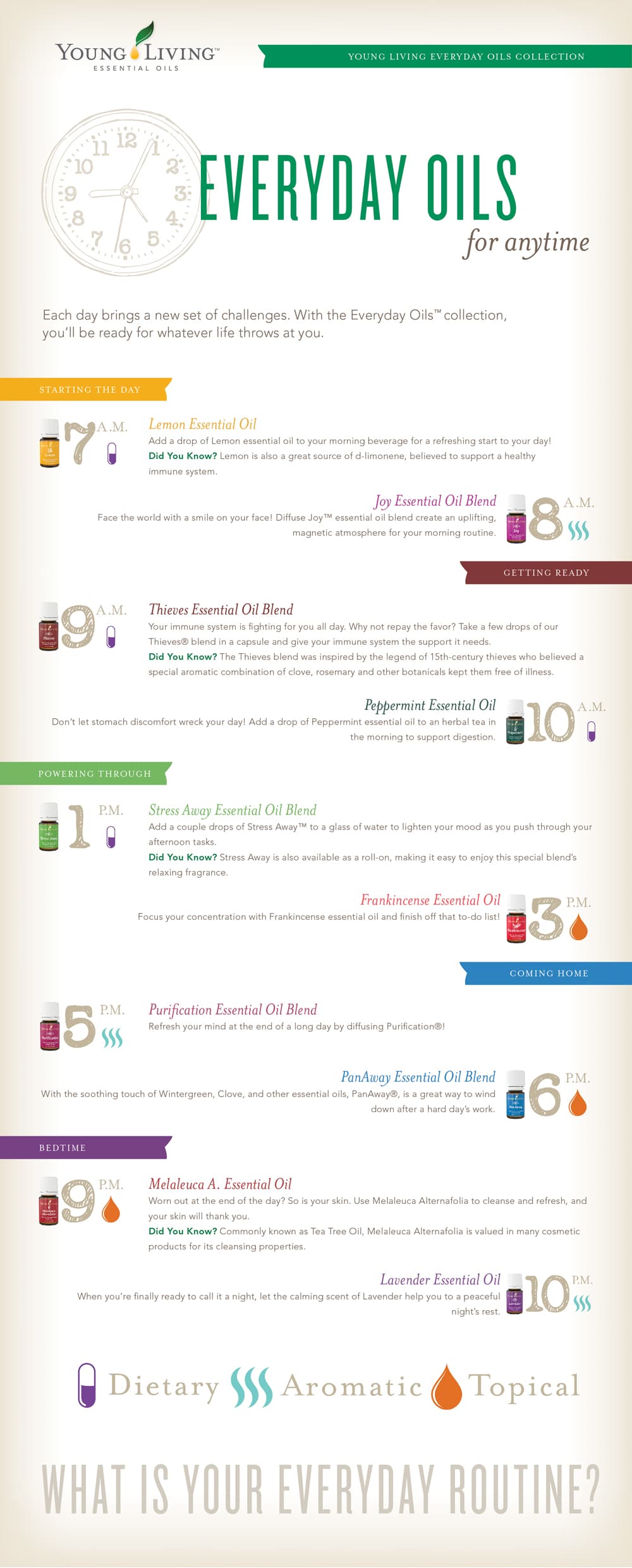 Everyday Oils Clock Infographic