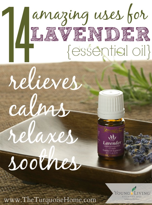 14 Great Ways to Use Lavender Essential Oil