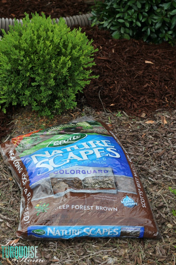 Mulch the front Flower Beds