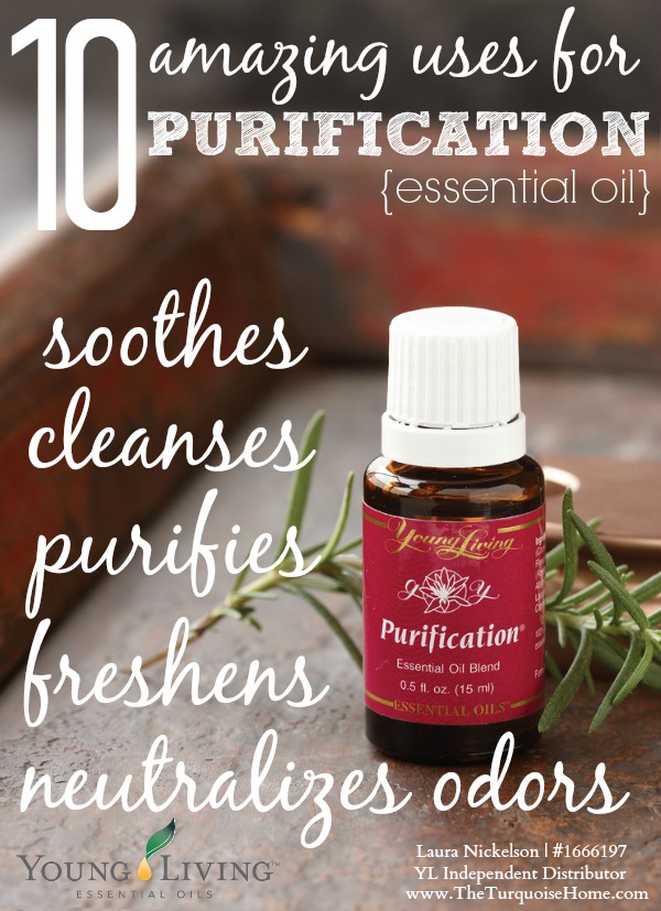 10 Remarkable Uses for Purification Essential Oil