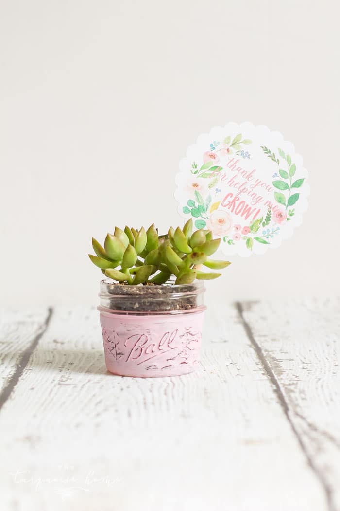 Simple DIY Planter Teacher Gift Ideas + Free Printable Tag