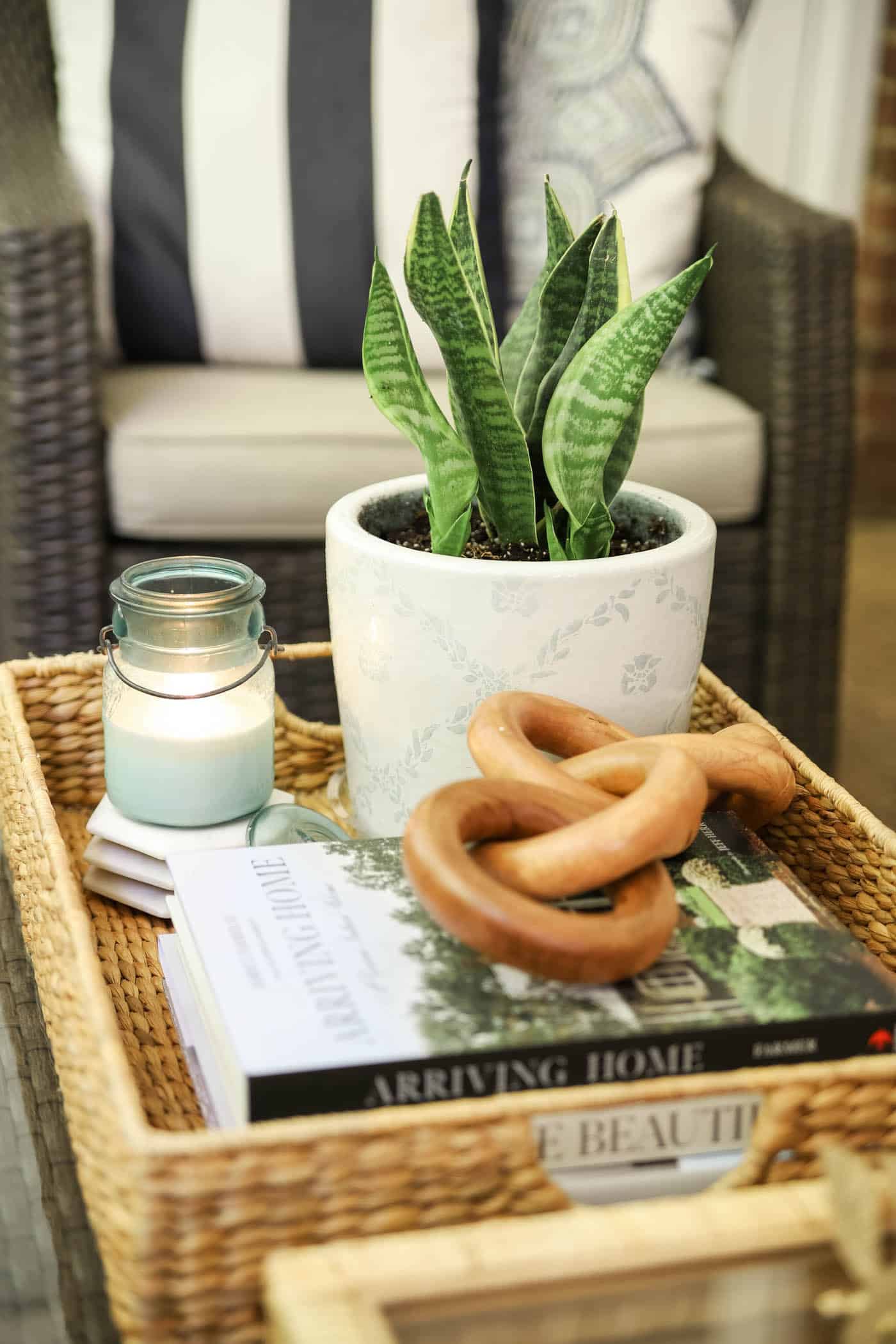 A Guide to Caring for Snake Plants
