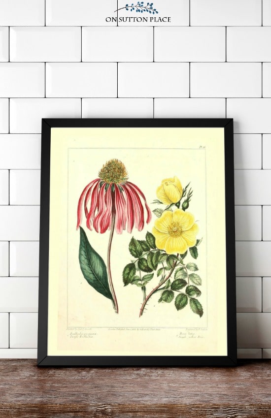 Ann at On Sutton Place offers gorgeous free printables