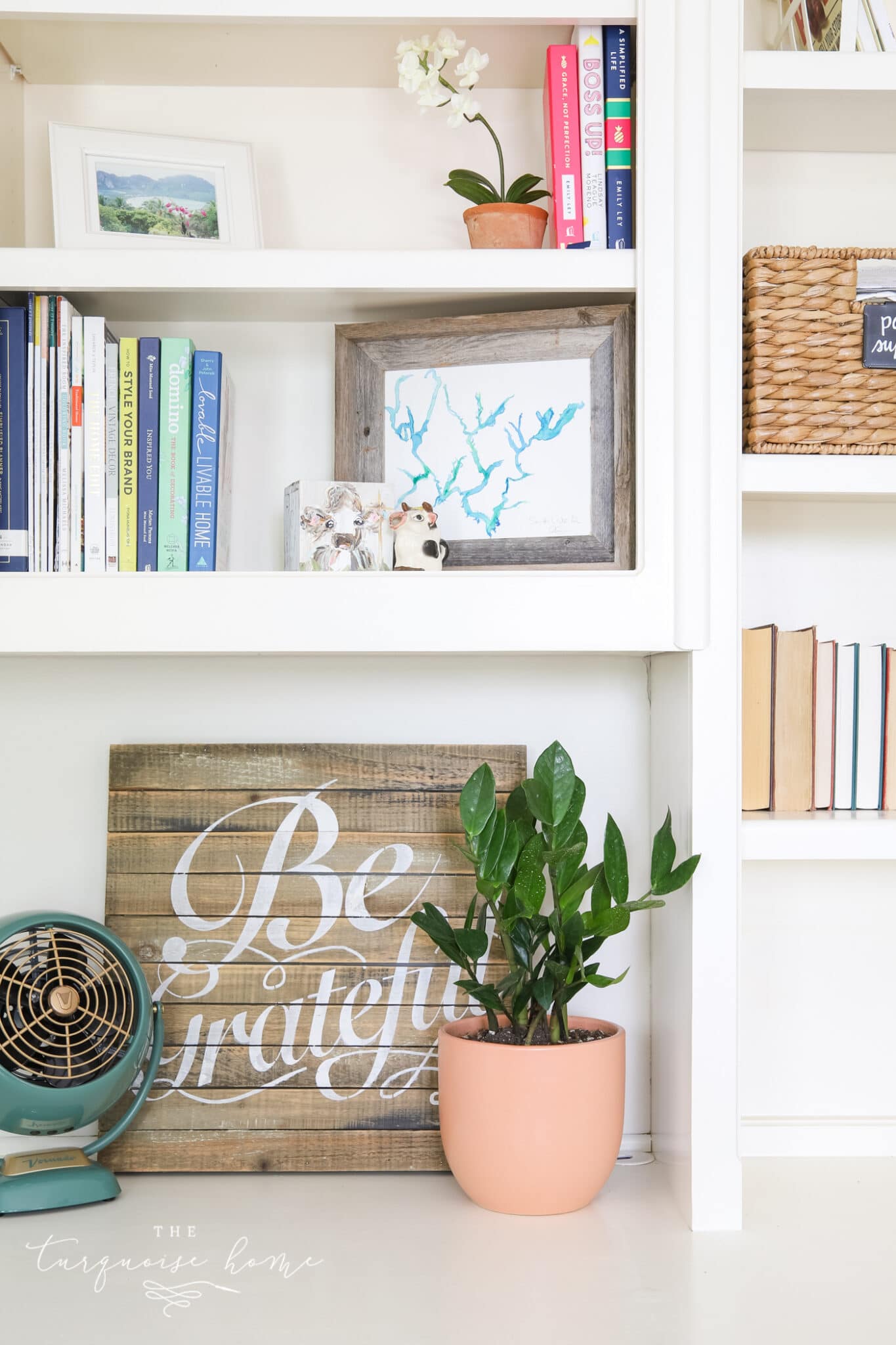 ZZ plant on office shelves