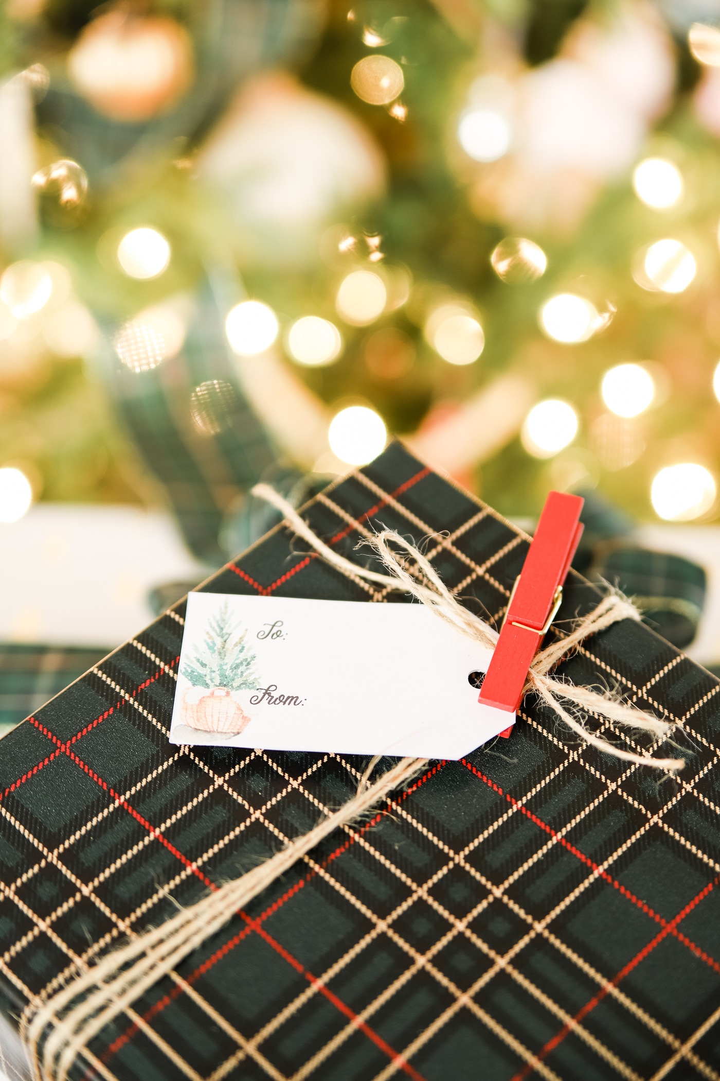 Cute Free Printable Christmas Tags