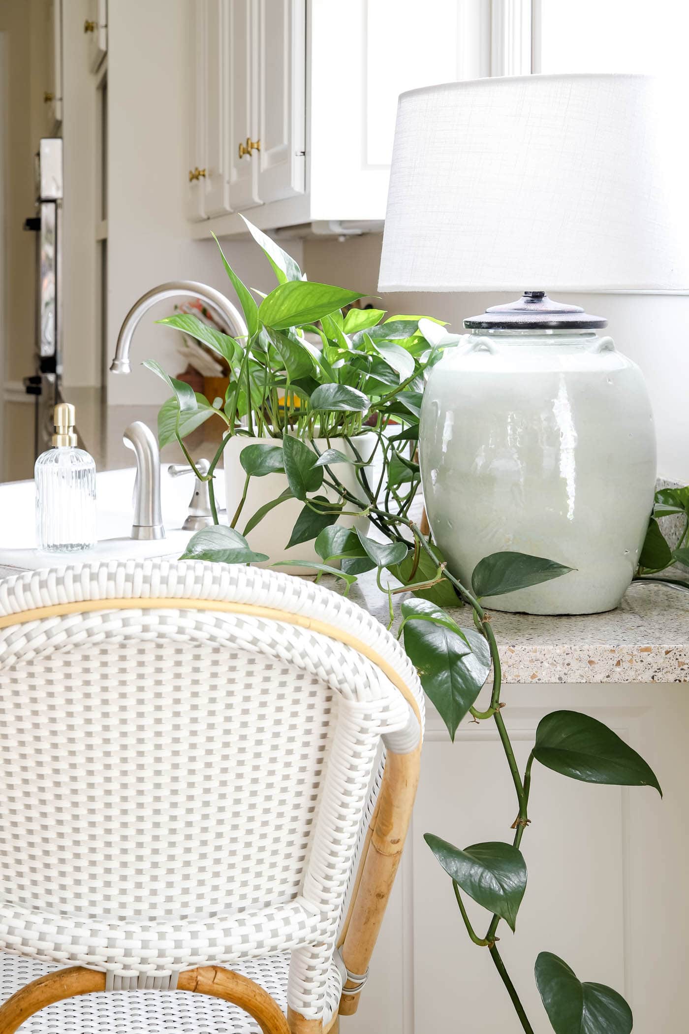 Pothos Plant on Kitchen Counter Decor