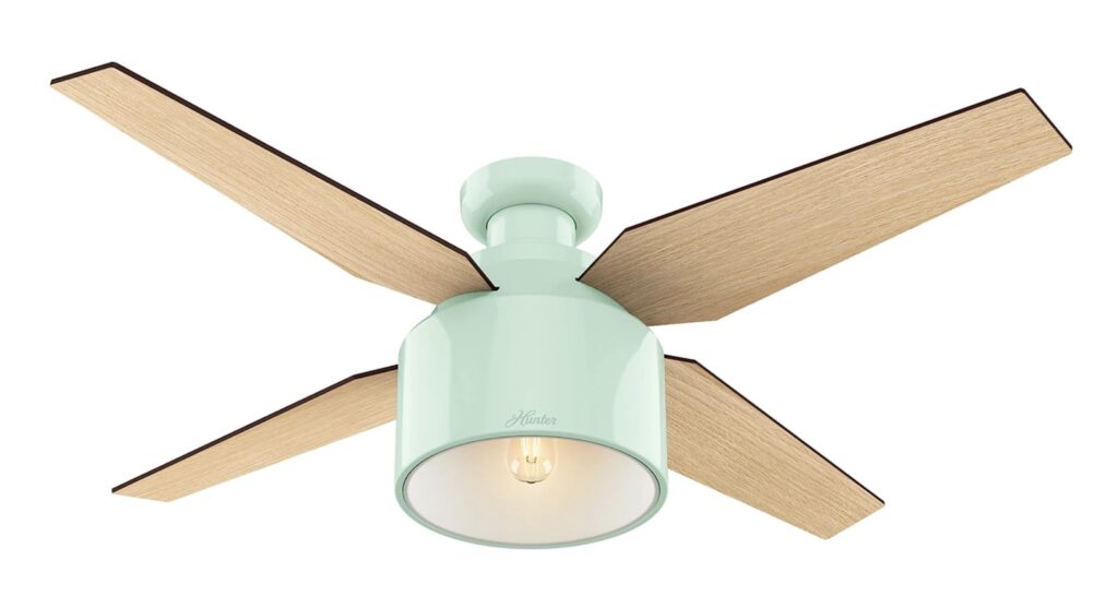 Hunter Cranbook Indoor Low Profile Ceiling Fan