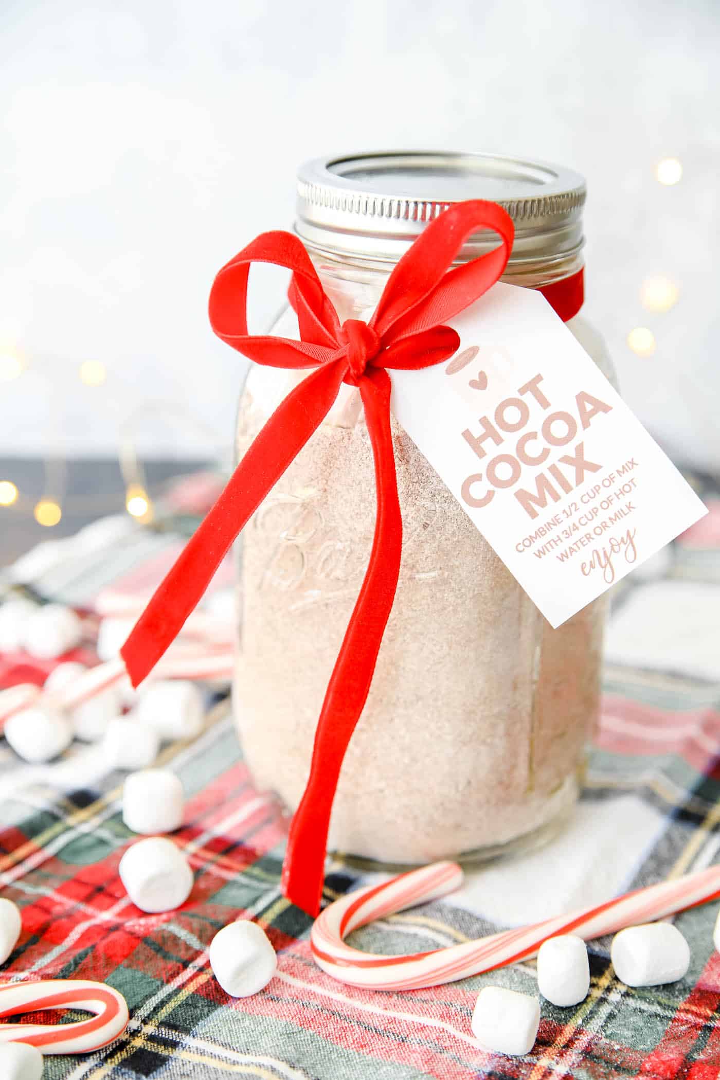 Hot Chocolate Mix Gift