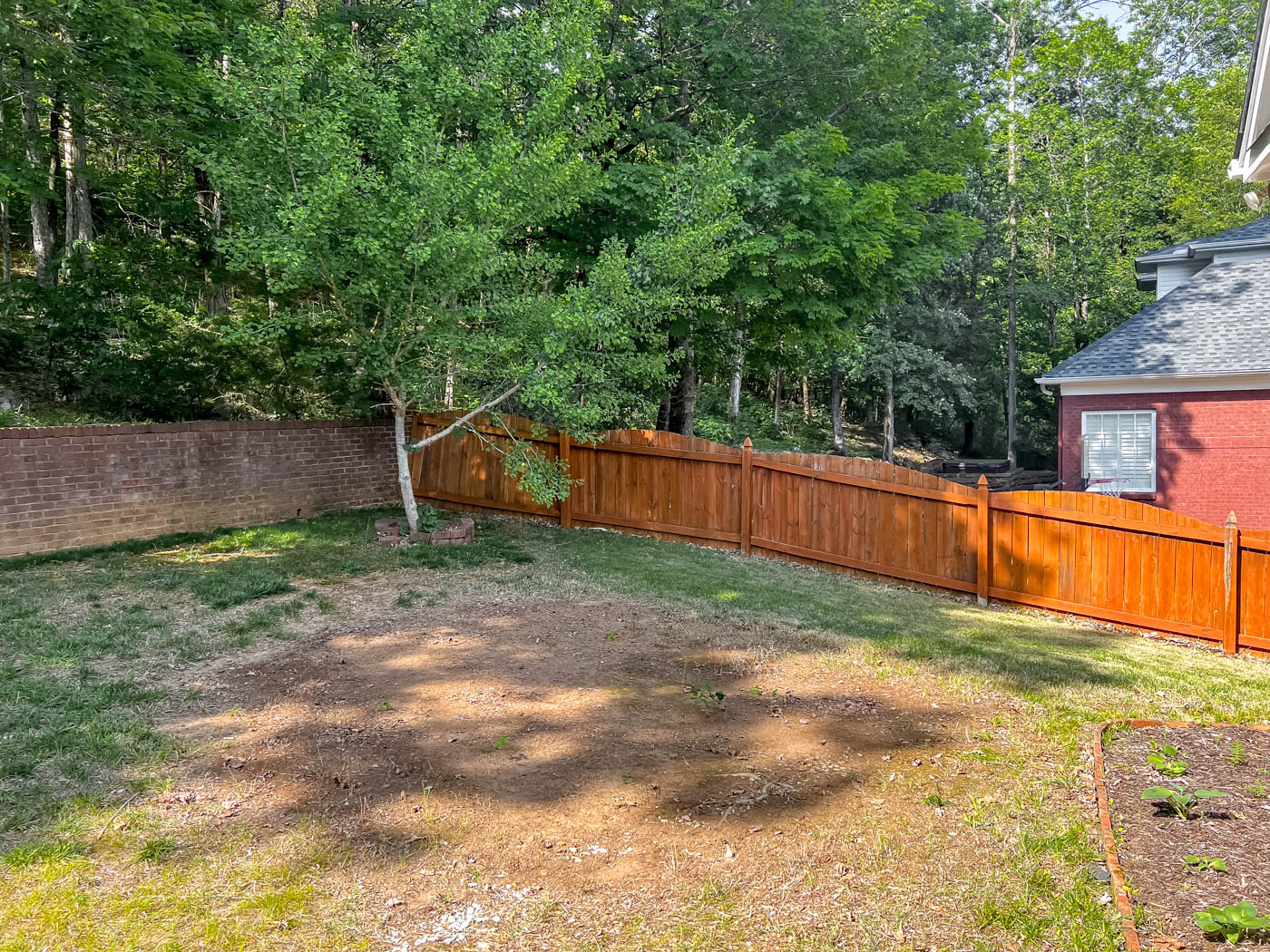 bare spot in the yard