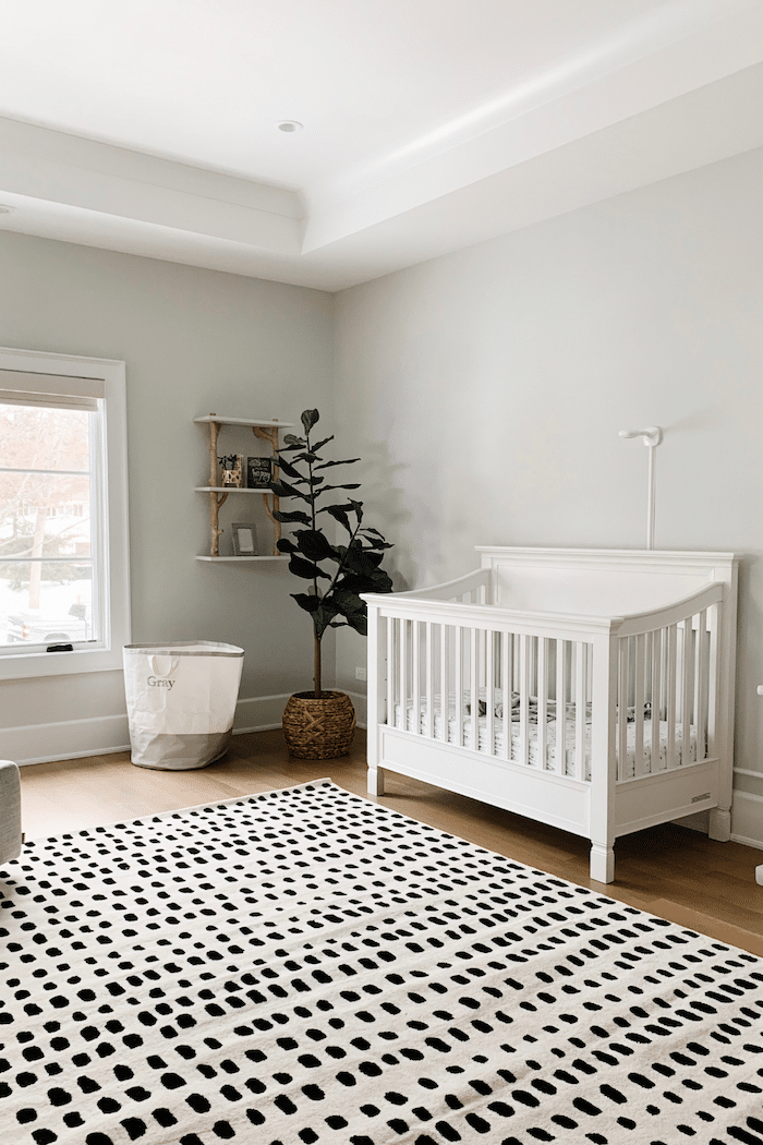 Paper White color walls in a neutral nursery with black and white rug, white crib and fiddle leaf fig tree in the corner.