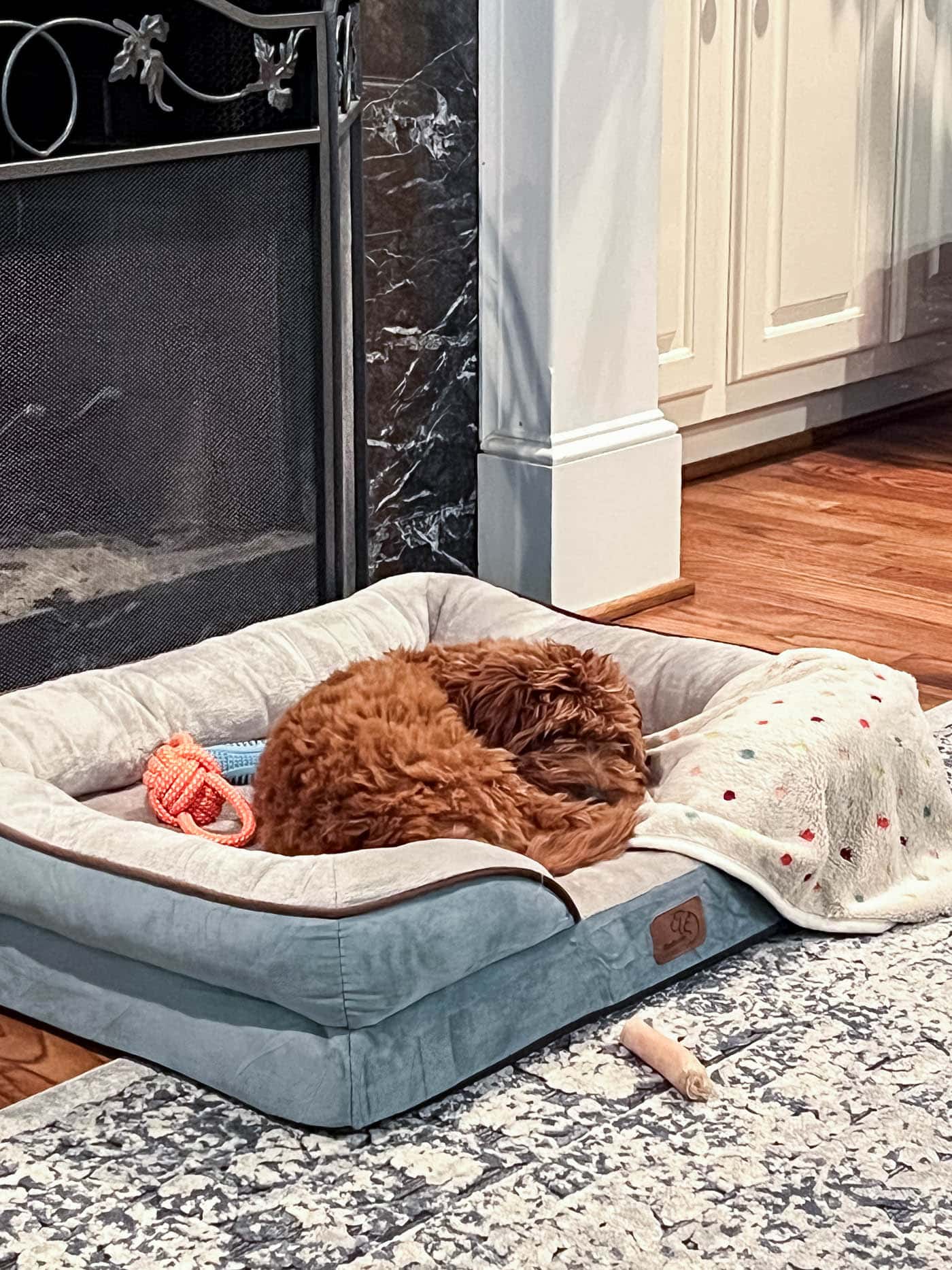 Dog in a blue and white dog bed in front of a fireplace.