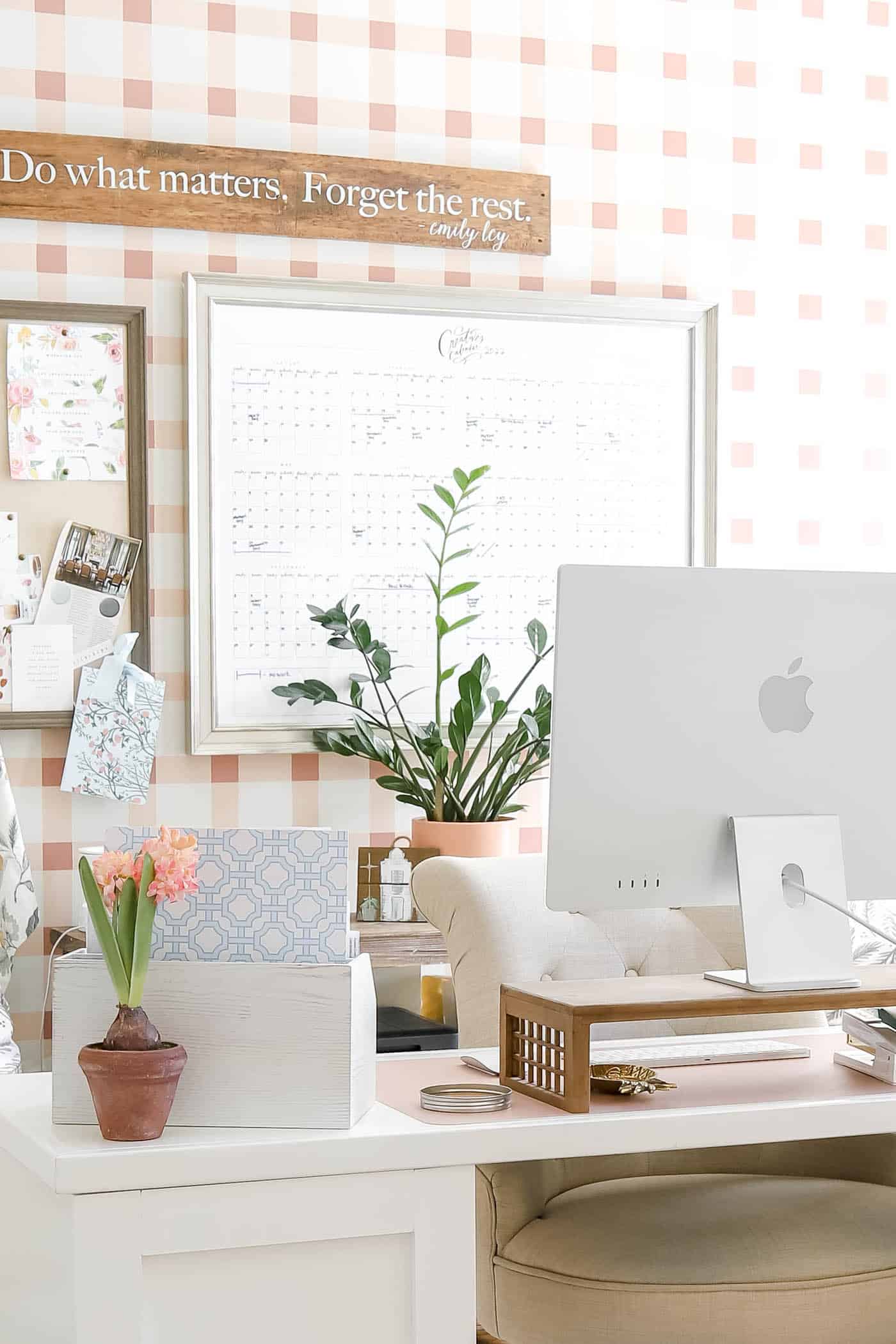 ZZ plant in the background of a feminine office.