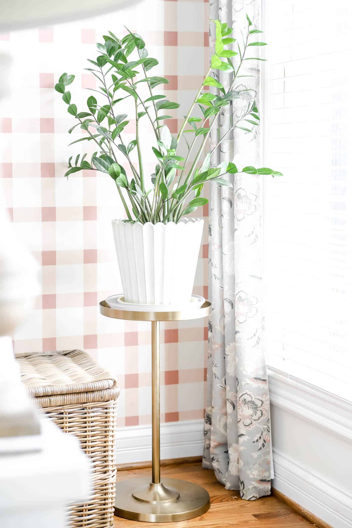 ZZ Plant in window on plant stand