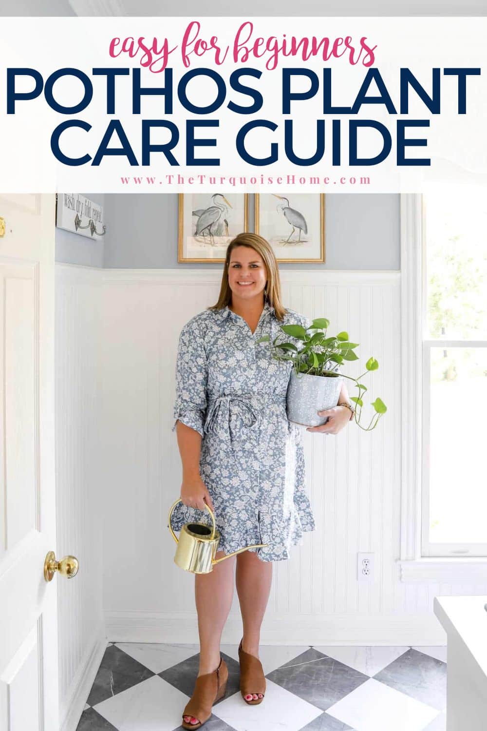 pothos plant care guide
