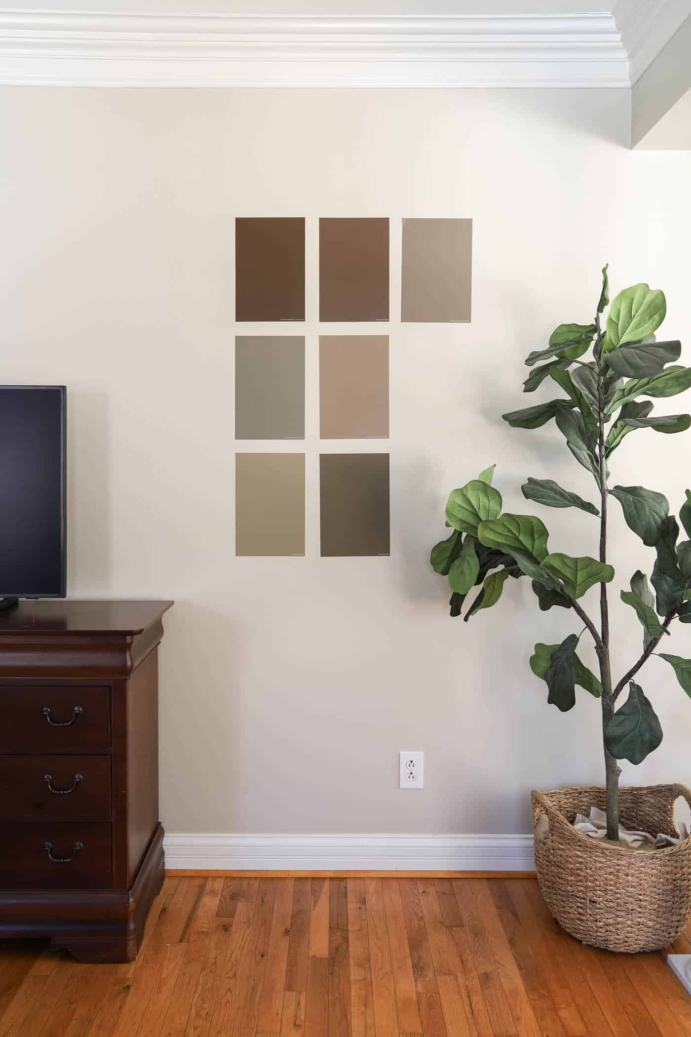 paint samples on the wall