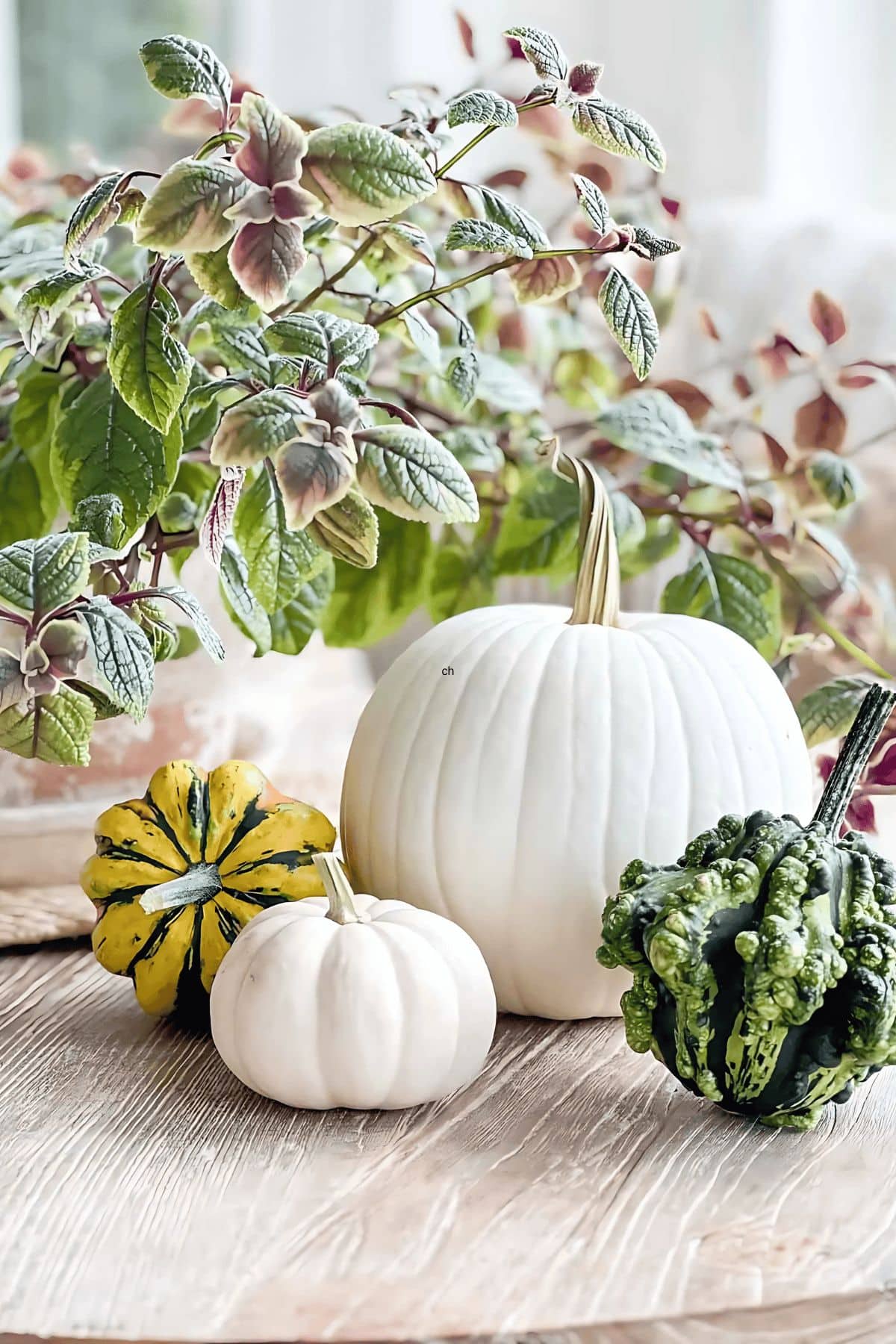 Beautiful Fall Decorating Trends You Will Love