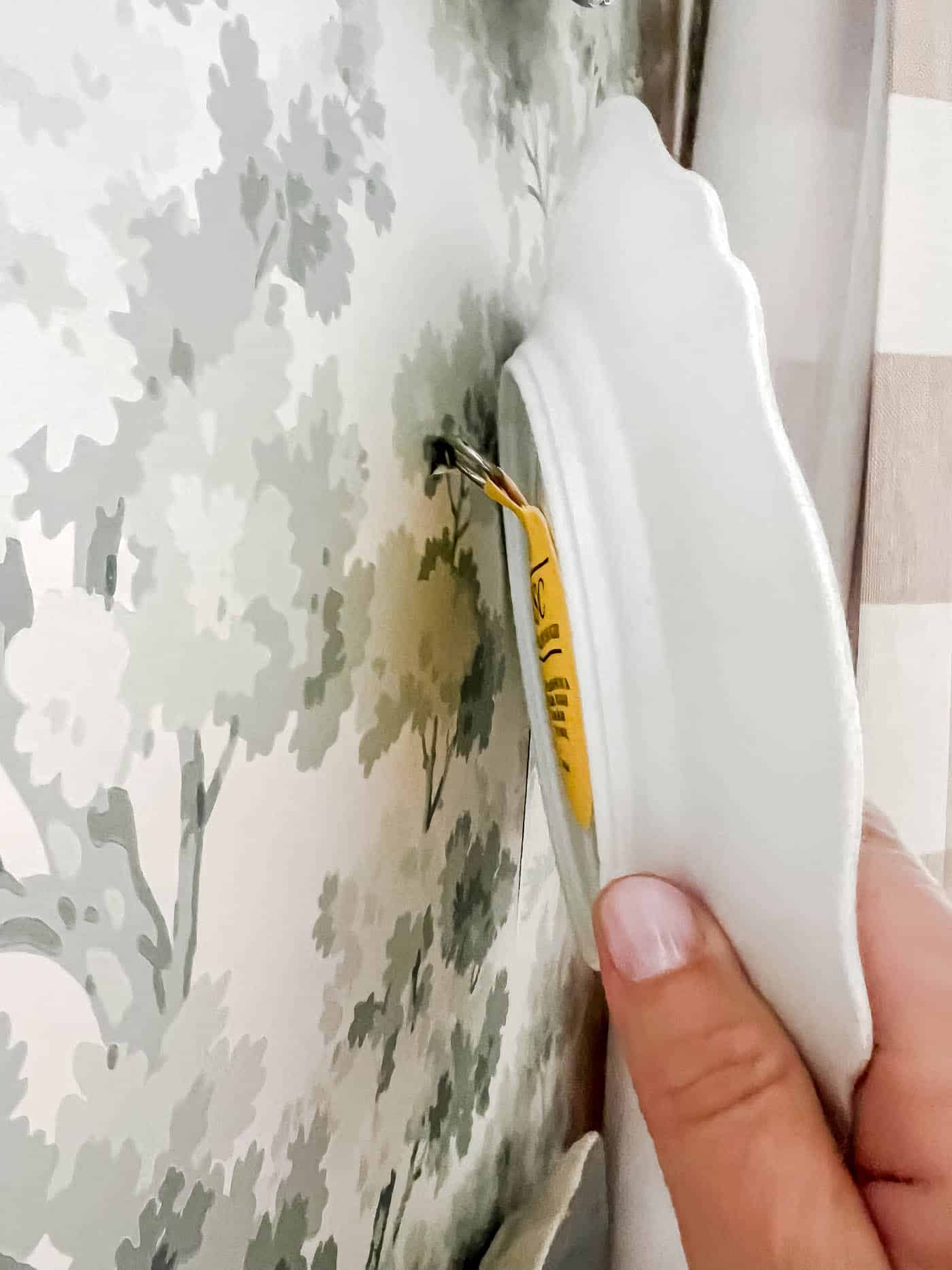 Hang a plate on a wall with a screw and adhesive disc.