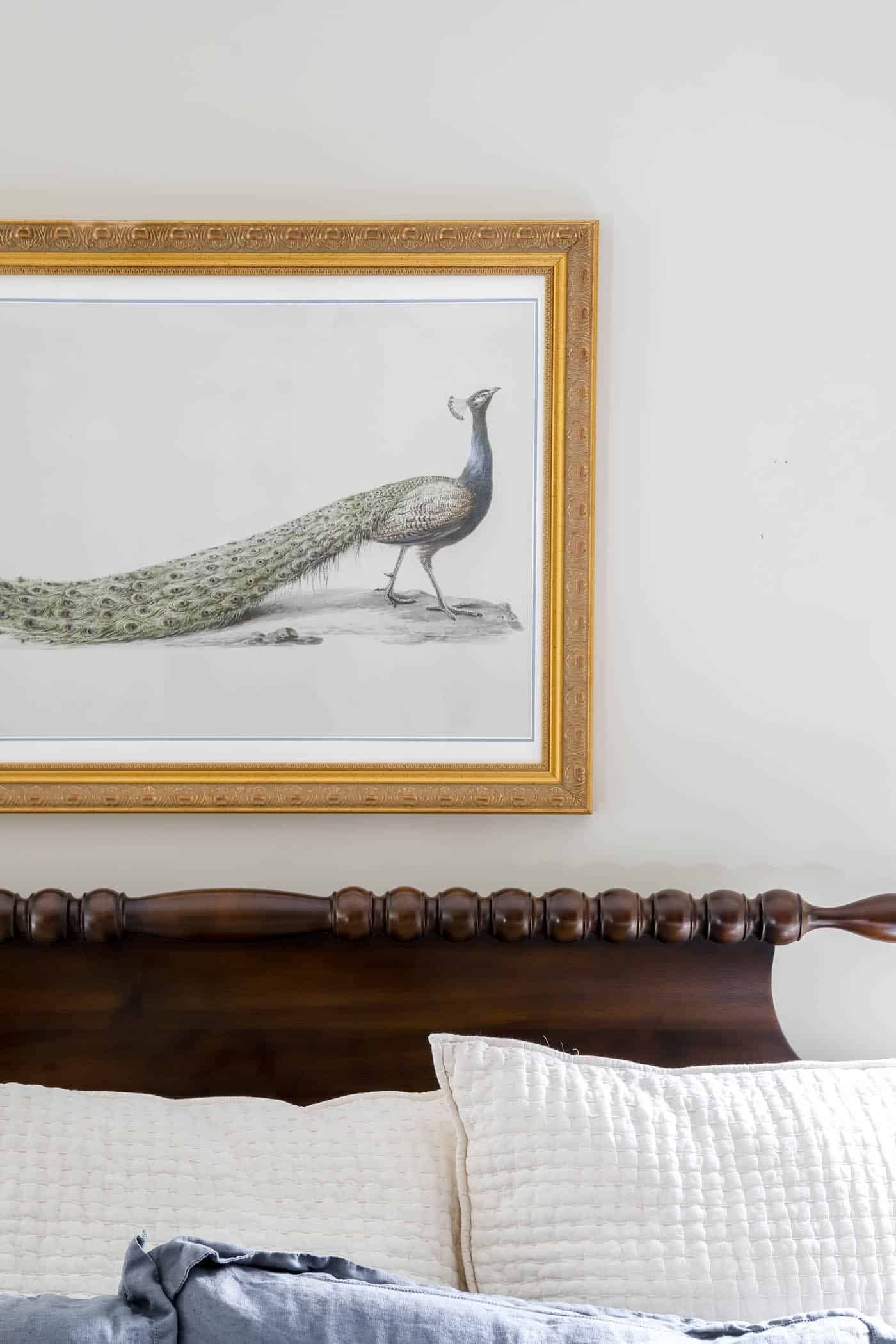Trash to Treasure: Peacock Framed Art