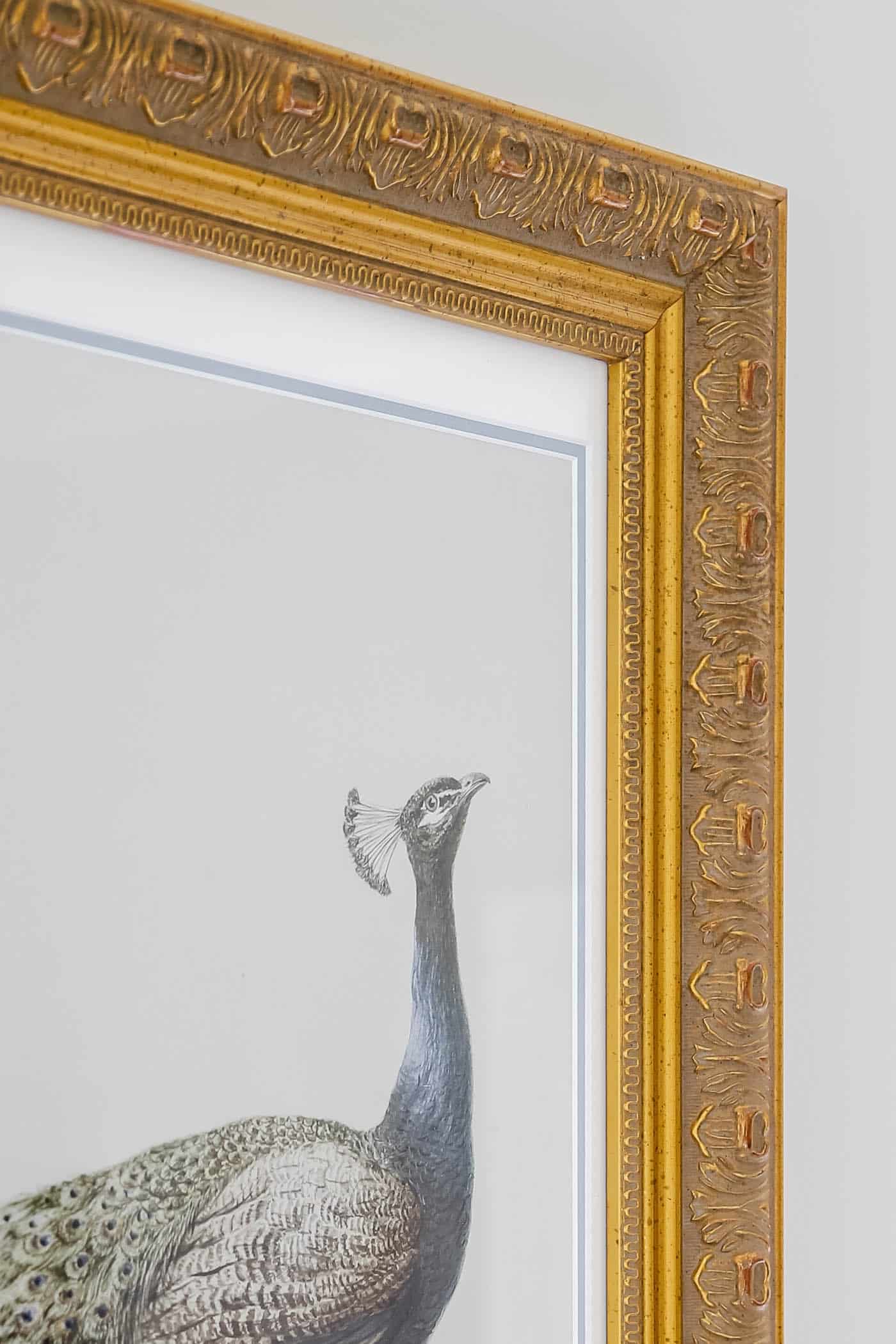 DIY Large Digital Framed Art with Thrift Store Frame