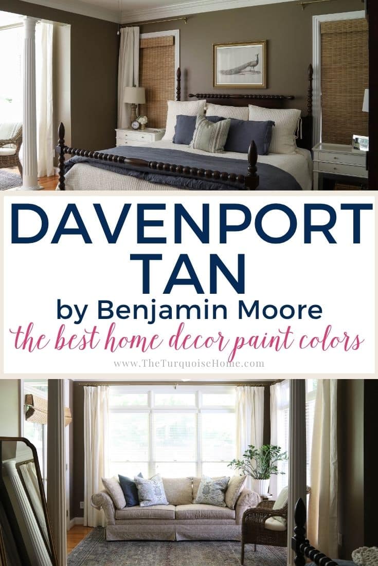 Davenport Tan by Benjamin Moore paint spotlight