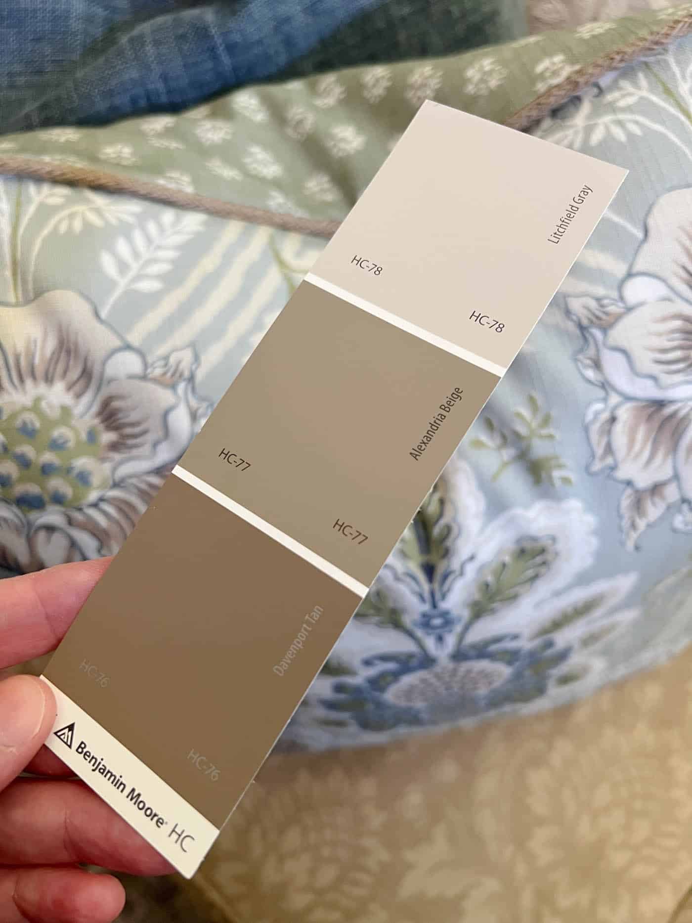 Davenport Tan paint color swatch