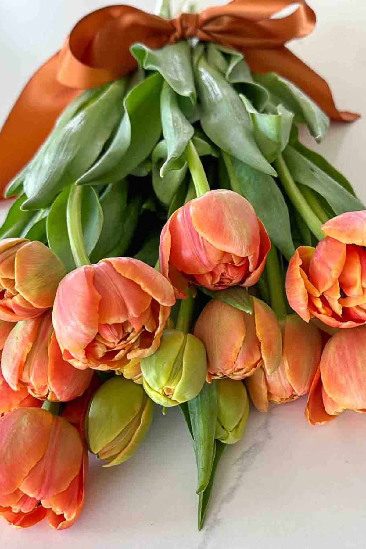 Green Paint Colors, Spring Dining Rooms & Easy DIY Decor (HSS #493)
