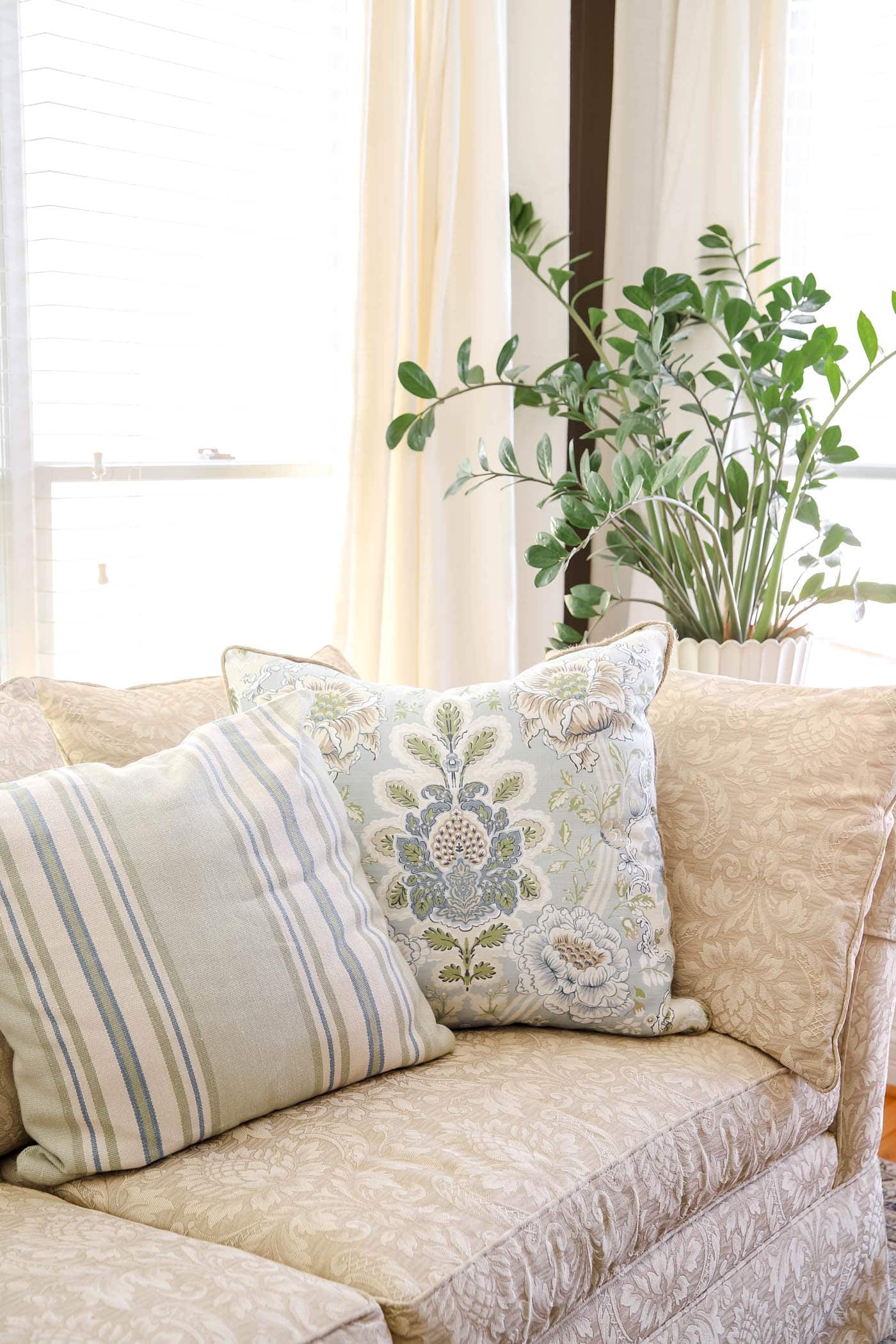 large ZZ plant in the bedroom sitting room.