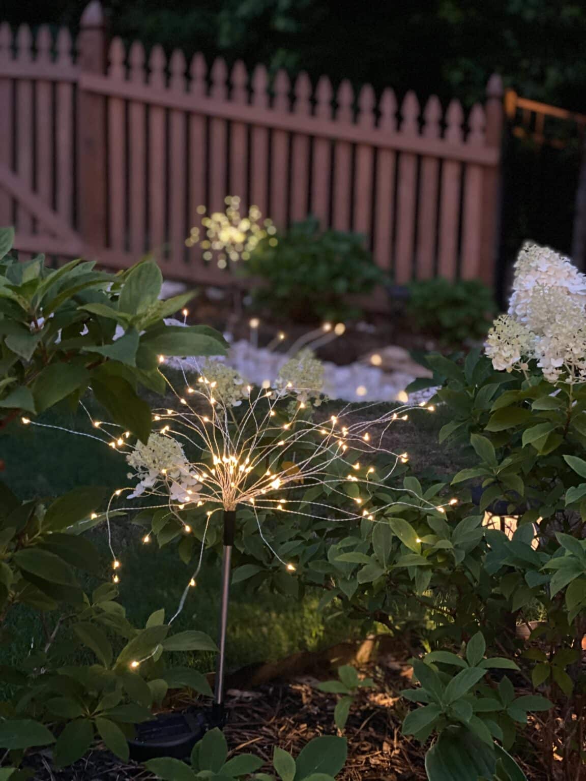 lighting up the backyard