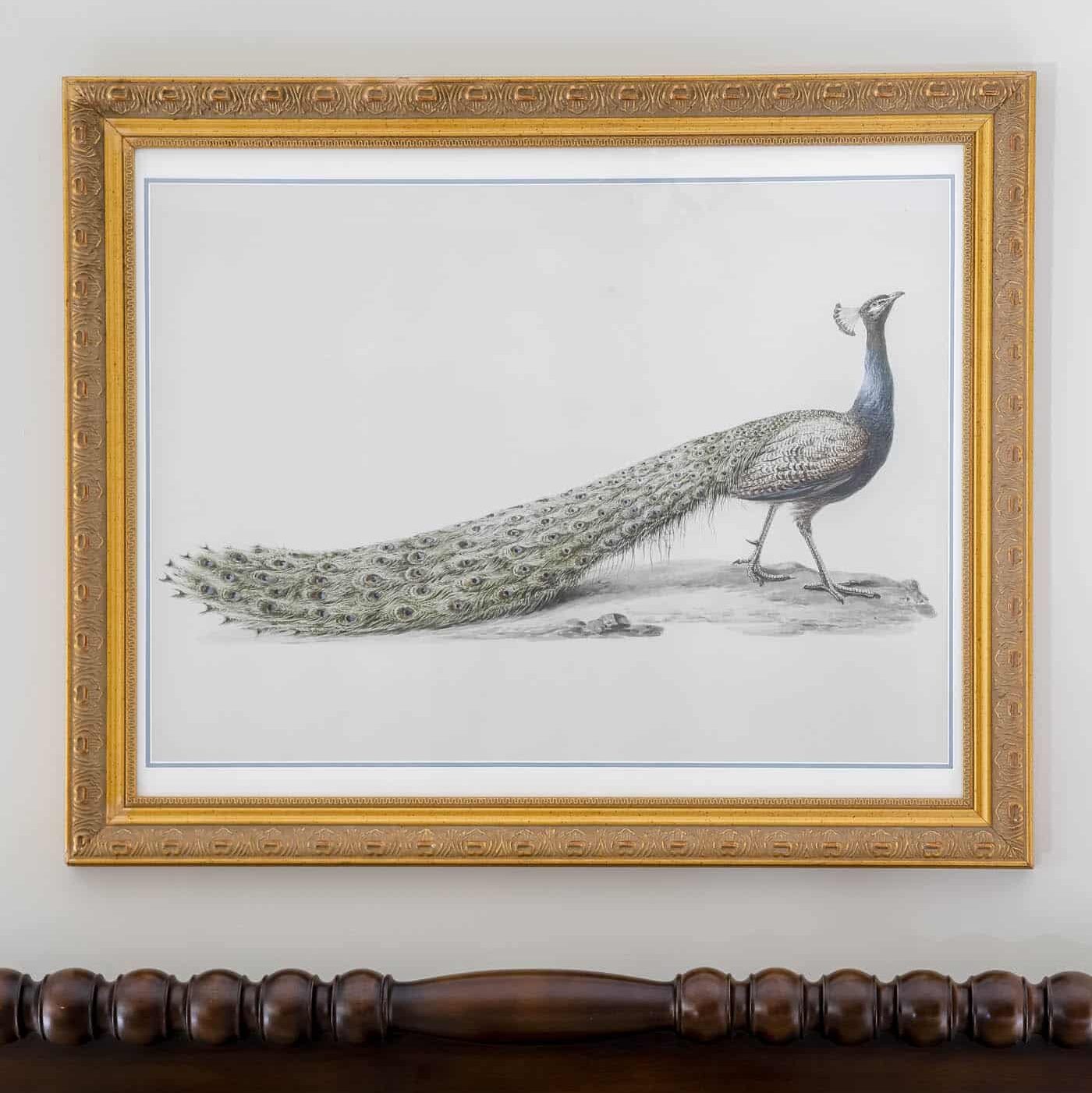 DIY peacock art