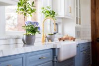 Elegant Farmhouse Sinks and Faucets for Kitchen Renovations