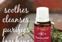 10 Practical Uses for Purification Essential Oil