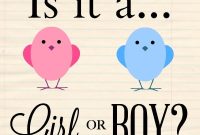 Baby Gender Reveal: Creative Pink or Blue Announcements