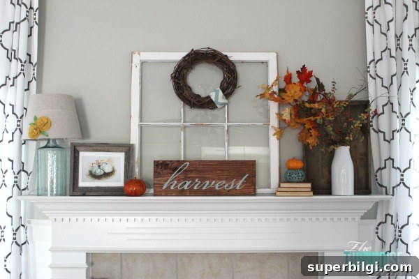 featured 6629