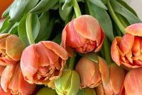 Green Paint Colors for Spring Dining Rooms and DIY Decor