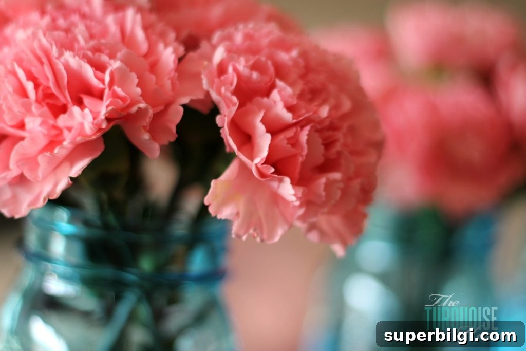Living Room Makeover Part 4: Styling Blue Accents 8 Pink carnations in blue mason jars
