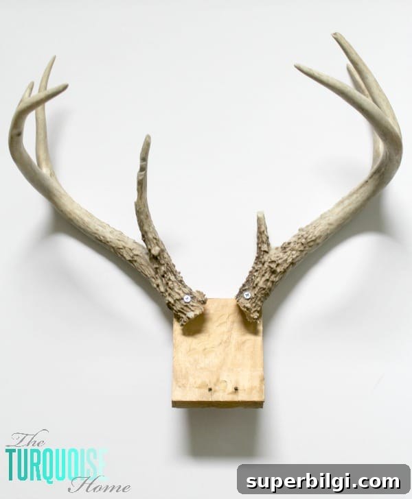 DIY Plush Deer Head Wall Mount Tutorial and Pattern 4 DIY Plush Deer Head | TheTurquoiseHome.com
