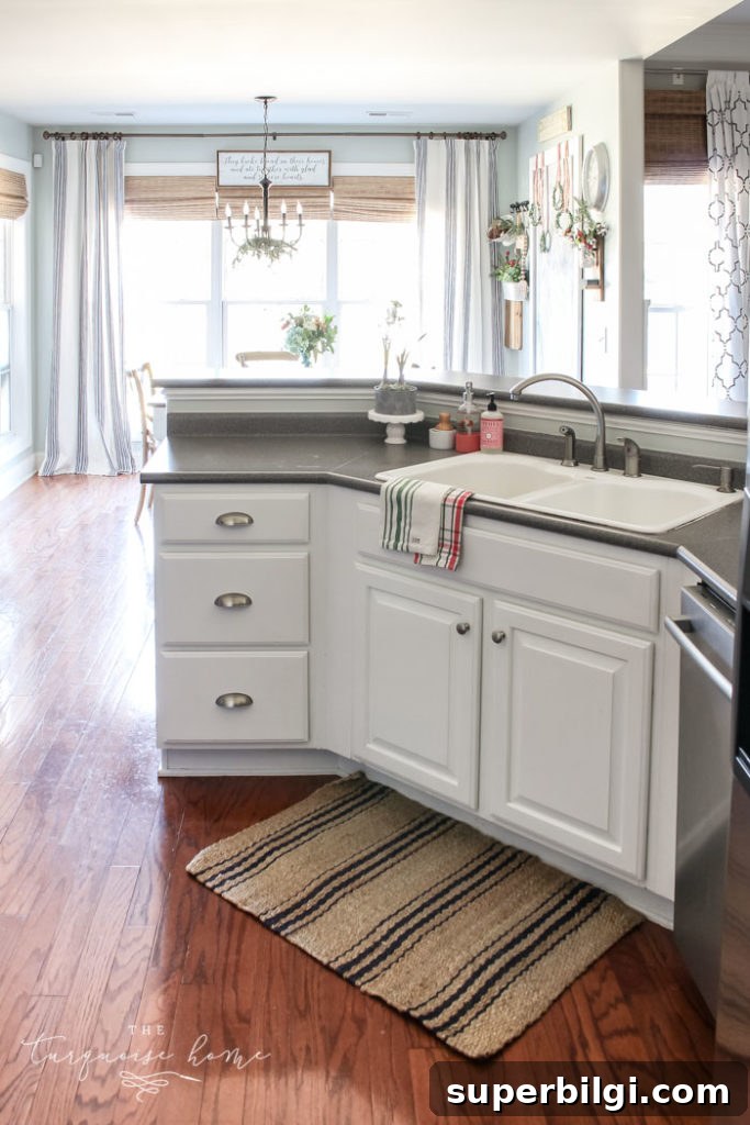 DIY Paint Kitchen Cabinets Without Professional Tools 3 Simply White painted Kitchen Cabinets