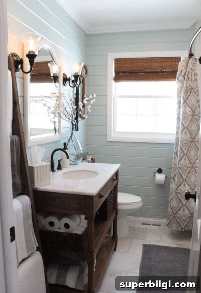 Benjamin Moore Palladian Blue: Paint Color Spotlight 8 Palladian Blue bathroom from 12 Oaks Blog