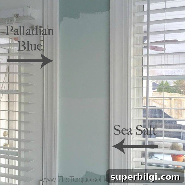 Benjamin Moore Palladian Blue: Paint Color Spotlight 4 Palladian Blue vs. Sea Salt - How to Choose a Color without Regrets