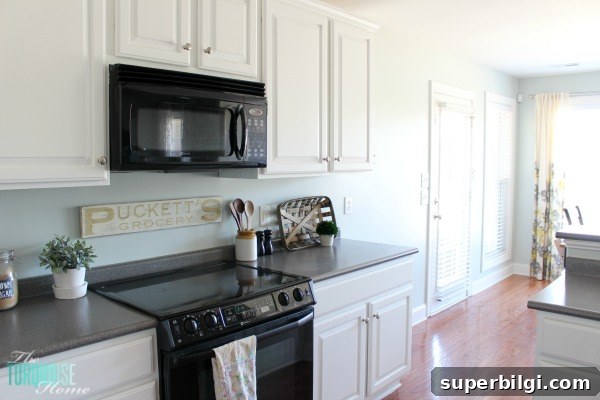 Kitchen painted in Sea Salt (Sherwin Williams)