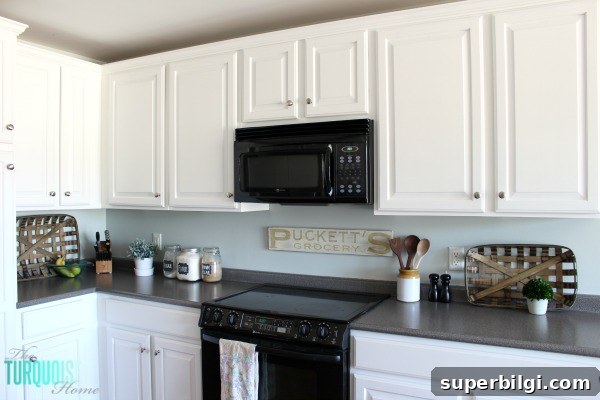 Kitchen painted in Sea Salt (Sherwin Williams)