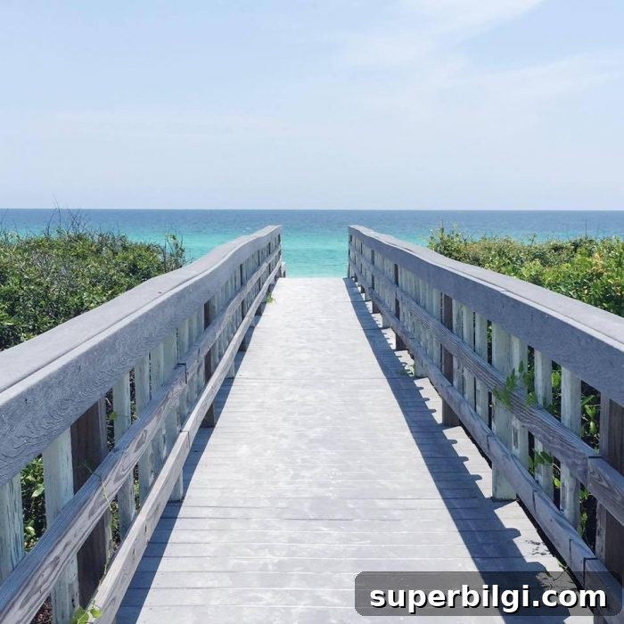 5 Summer Decor Ideas to Refresh Your Home 3 ocean