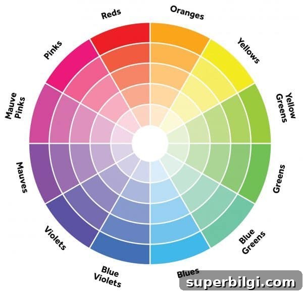 How to Build a Cohesive Color Palette for Your Whole House 3 Use the color wheel to choose a whole house color palette.
