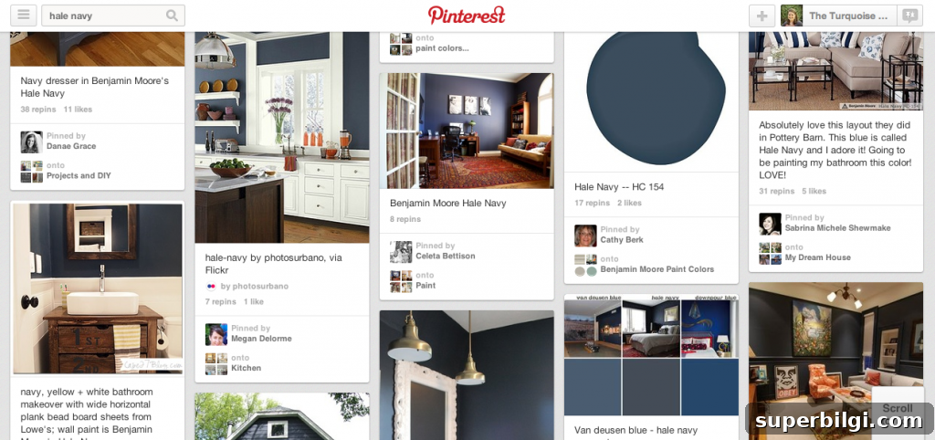 Paint an Interior Door in Hale Navy: Step-by-Step Guide 3 Hale Navy inspiration collage