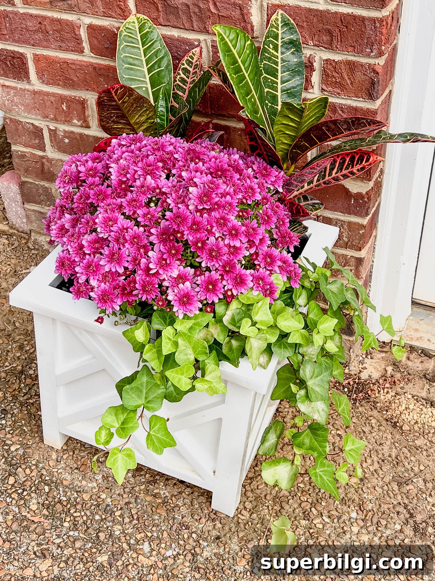 11 Fall Decor Ideas to Make Your Home Cozy 15 Fall planter with mums, ivy and croton