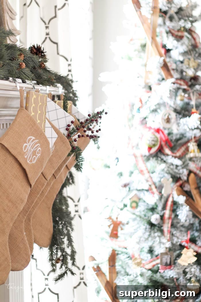 Holiday ornaments and family tree