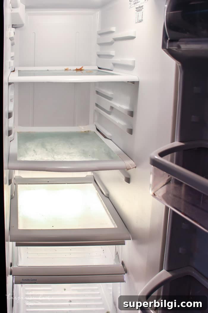 Fridge Organization Tips to Maximize Space 4 Tips for Refrigerator Organization | 30 Days to Less of a Hot Mess