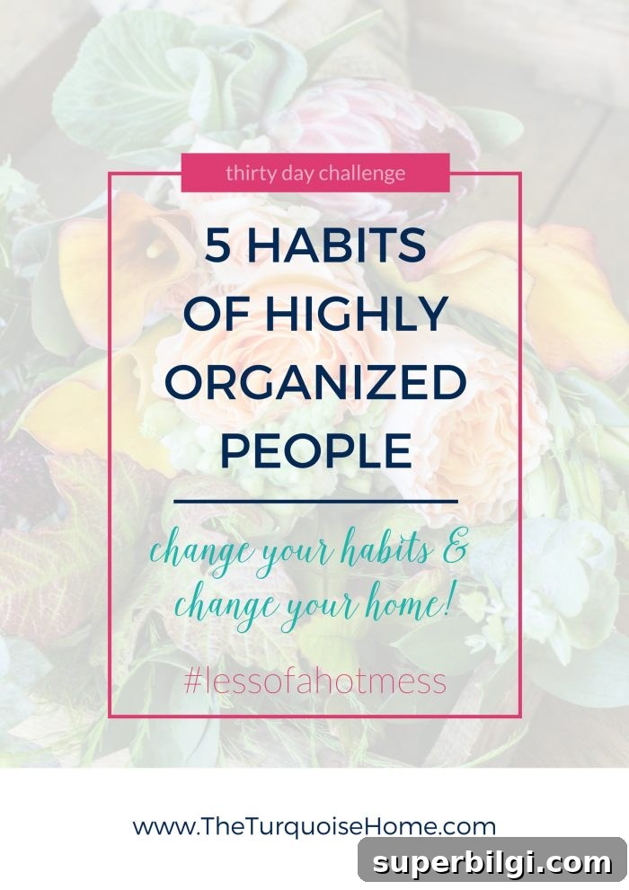 5 Daily Habits of Highly Organized People 2 5 Habits of Highly Organized People | 30 Days to Less of a Hot Mess