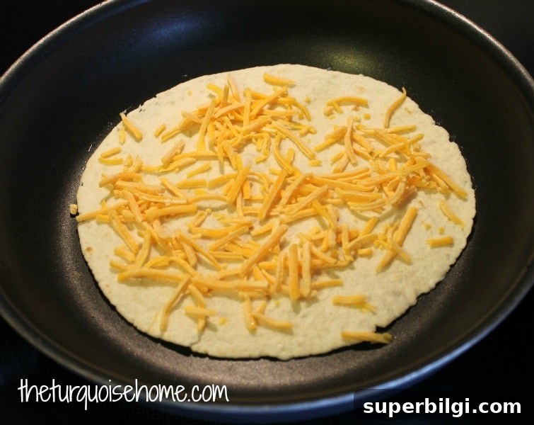 Chicken Quesadilla Recipe Featuring a Secret Ingredient 4 Layering cheese and chicken for quesadilla